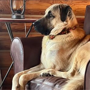 Meet your Posher, Stacey